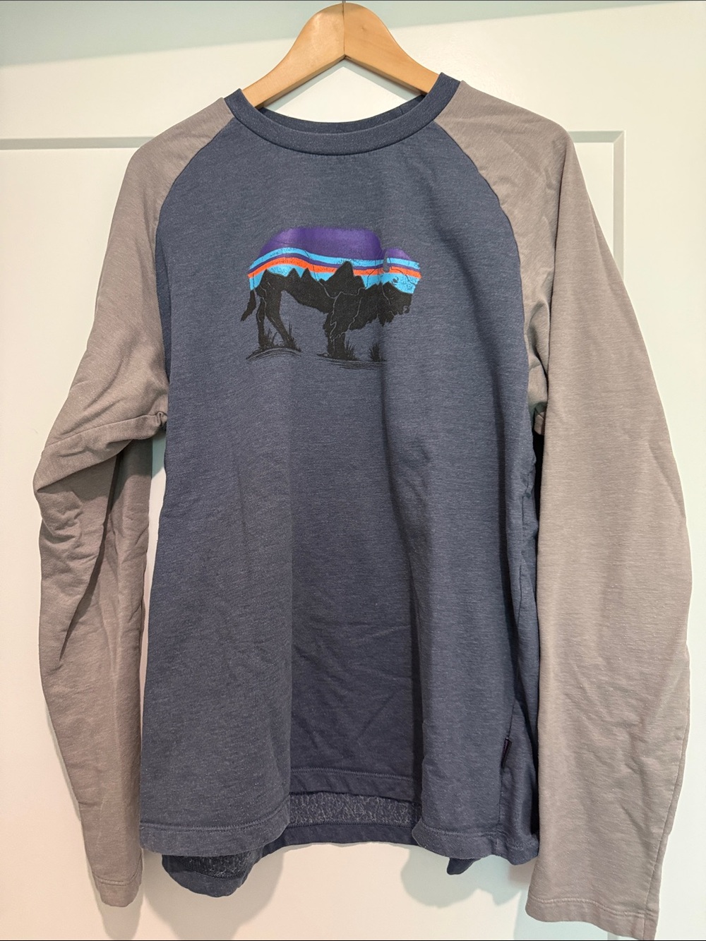Graphic Raglan Long Sleeve Tee with Bison Motif